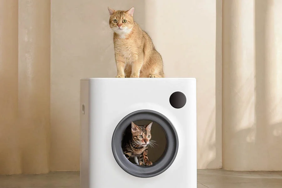 odourless litter box